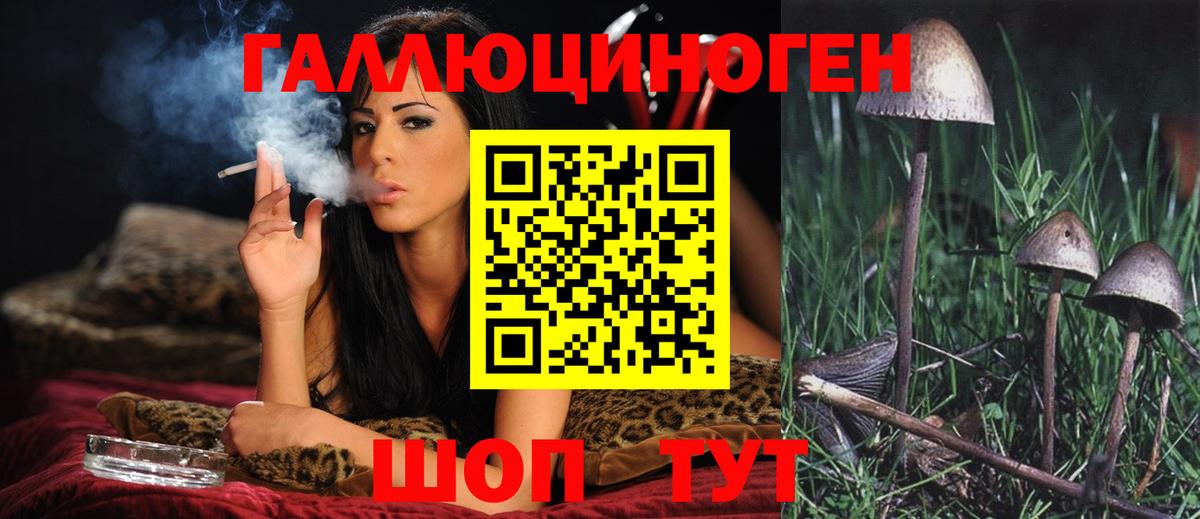 Псилоцибиновые грибы Magic Shrooms  Вход с VPN  как найти закладки  Елабуга 